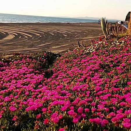 Hotel Lupo Di Mare マリーナ・ディ・カスタニェート・カルドゥッチ エクステリア 写真